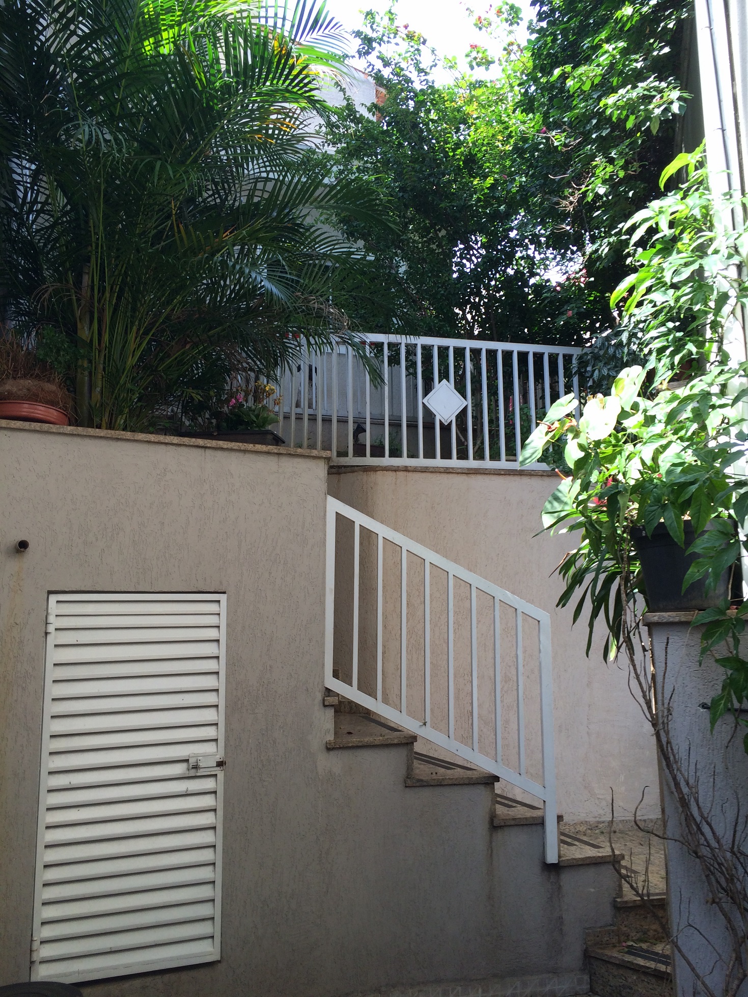 Foto Depósito folhagens.jpg