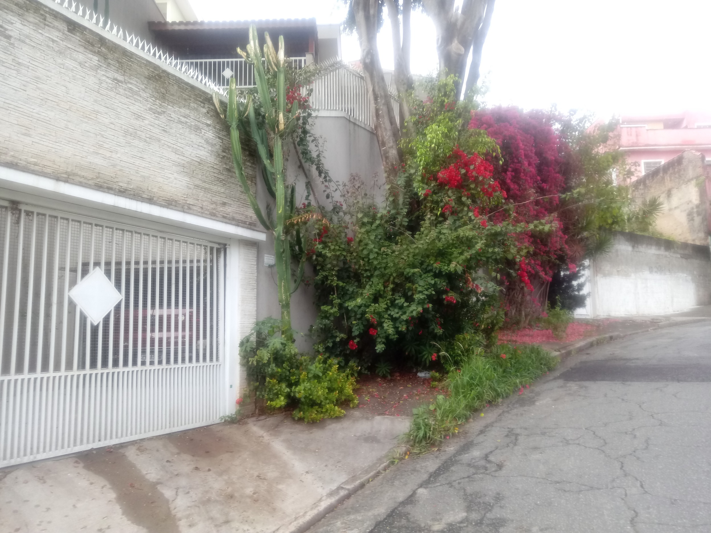 Fachada 120190907_081508.jpg