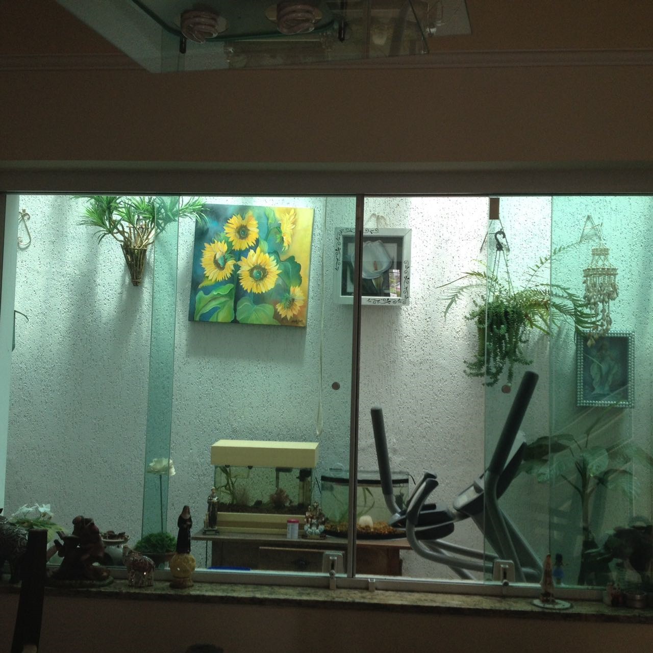 Jd. Inverno IMG_0823.jpg